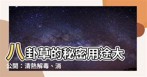 八卦草用途|中藥資訊網